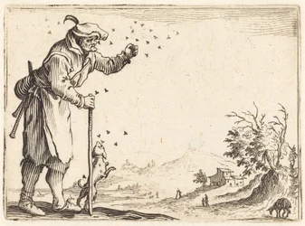 Contadino attaccato dalle api