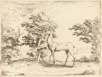 La cerva