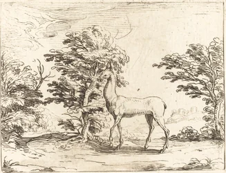La cerva