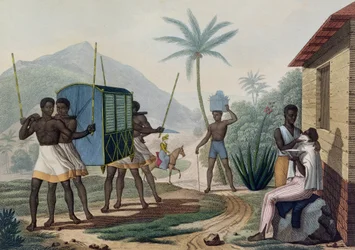 Un palanchino portato nell