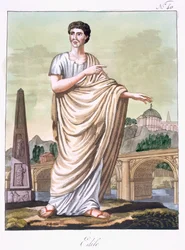 Aedilus, illustrazione da 