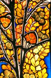 Nancy, Art Nouveau, Hotel Bergeret, Vetrata di Jacques Gruber, rose e gabbiani