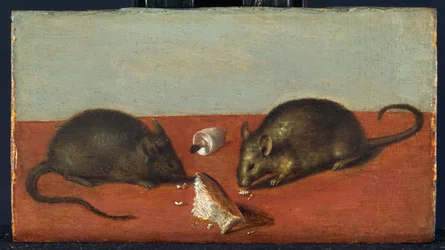 Topi, 1600 circa (olio su legno di quercia)