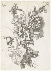 Pagina del Titolo con un Mazzo di Peonie, da Diverses Fleurs mises en Boucquets, c.1670