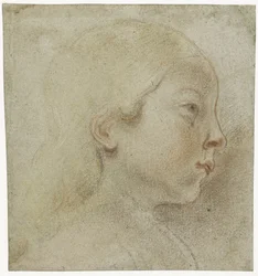 Testa di bambino, verso destra