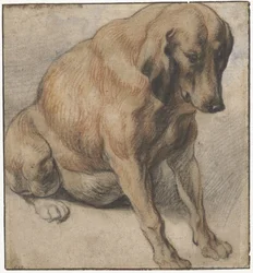 Cane seduto