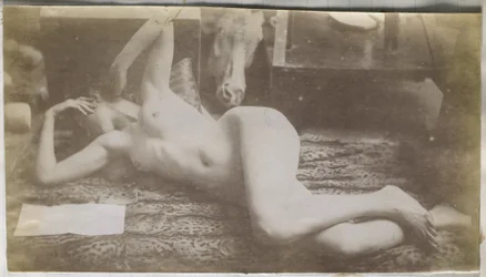 Studio di un modello femminile nudo, sdraiato su una pelle di tigre, nell