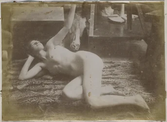 Studio di un modello femminile nudo, sdraiato su una pelle di tigre, nell