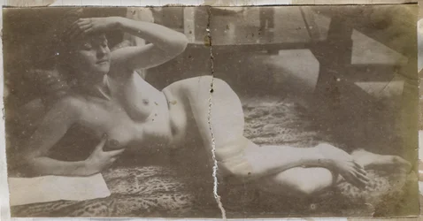 Studio di un modello femminile nudo, sdraiato su una pelle di tigre, nell