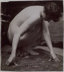 Studio di un modello femminile nudo, visto di lato, nell