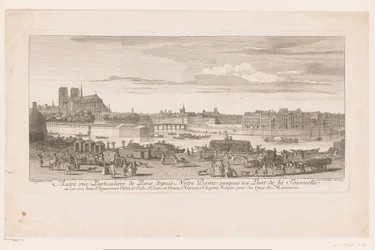 Veduta di Parigi dalla Notre Dame al Pont de la Tournelle