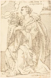 Sibilla Cimmeria