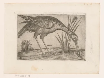 Uccello (serie Uccelli)