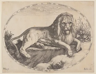 Den Grooten Leeuw (Il grande leone).