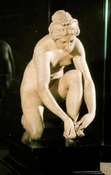 Il tiratore di spine