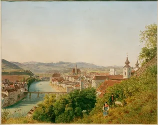 Steyr nell