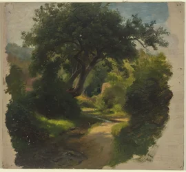 Sentiero nel bosco