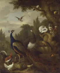 Pavone, pavoncella, pappagalli, canarino e altri uccelli in un parco, c.1708-10