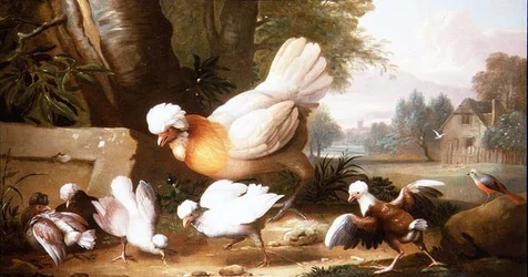 Pollame e piccioni in un paesaggio