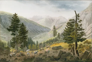 Paesaggio montano con una carovana di muli