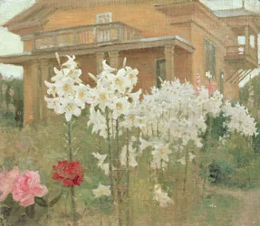 Gigli di Sera