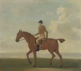 Un cavallo da corsa castano con fantino, c.1730