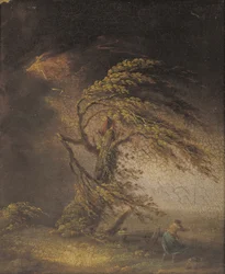 Un albero colpito da un fulmine