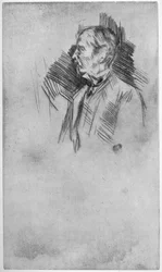 Lord Wolseley, XIX secolo 1904