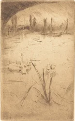 Cigno e iris, pubblicato 1883