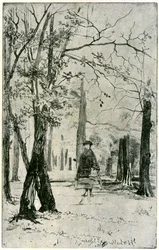 Il bosco, XIX secolo, 1904