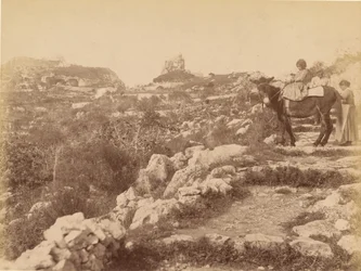 Capri [bambino sul mulo]