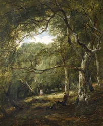 Figure nel bosco