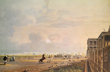 Veduta di Esplanade Row dalla Chouringhee Road, Calcutta, inciso da Robert Havell, pub. 1824