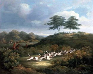 Rompere la Copertura