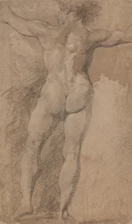 Uomo con le braccia aperte visto da dietro