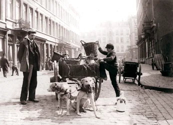 Ragazzo con carretto per cani, Anversa, 1898