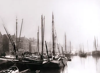 Barche sul canale, Rotterdam