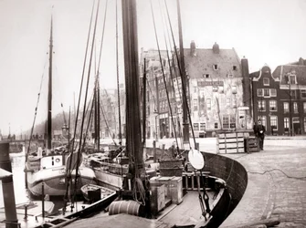 Barche sul canale, Rotterdam