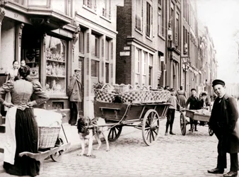 Carrozza per cani, Anversa, 1898