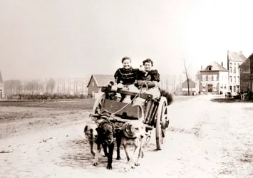 Cani che tirano donne su un carro, Anversa