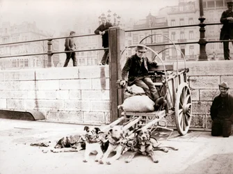 Uomo con carretto per cani, Anversa, 1898