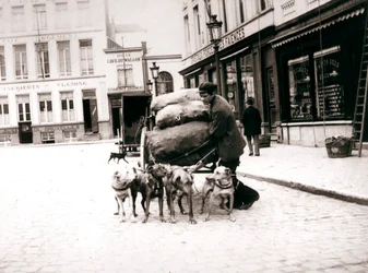 Uomo con carrozza per cani, Anversa, 1898