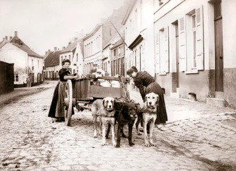 Donne e carrozza per cani, Anversa, 1898