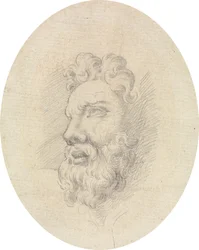 Testa di un uomo barbuto