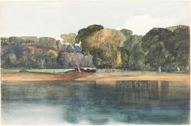 Paesaggio con alberi e acqua