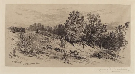 Un Campo Incolto