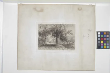 Paesaggio