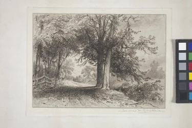 Paesaggio