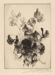 Piselli odorosi