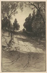 Su per la collina